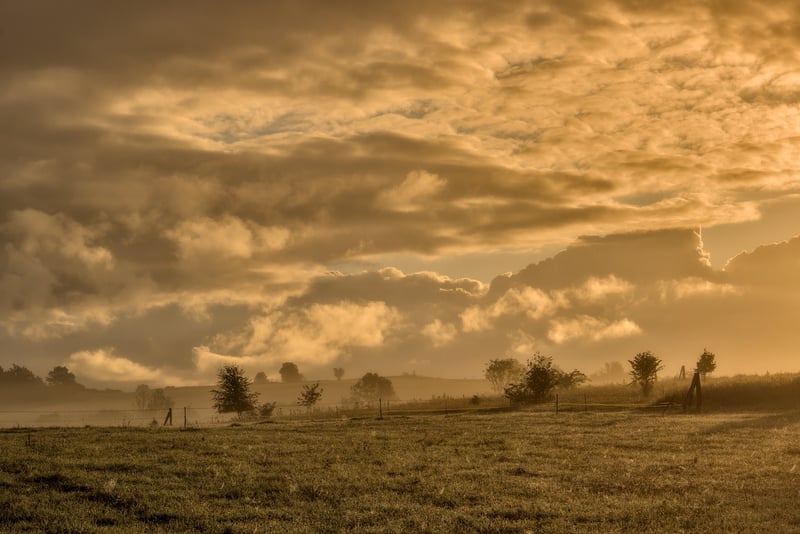 Misty Morning